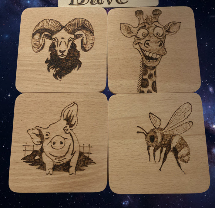 Beech Coasters