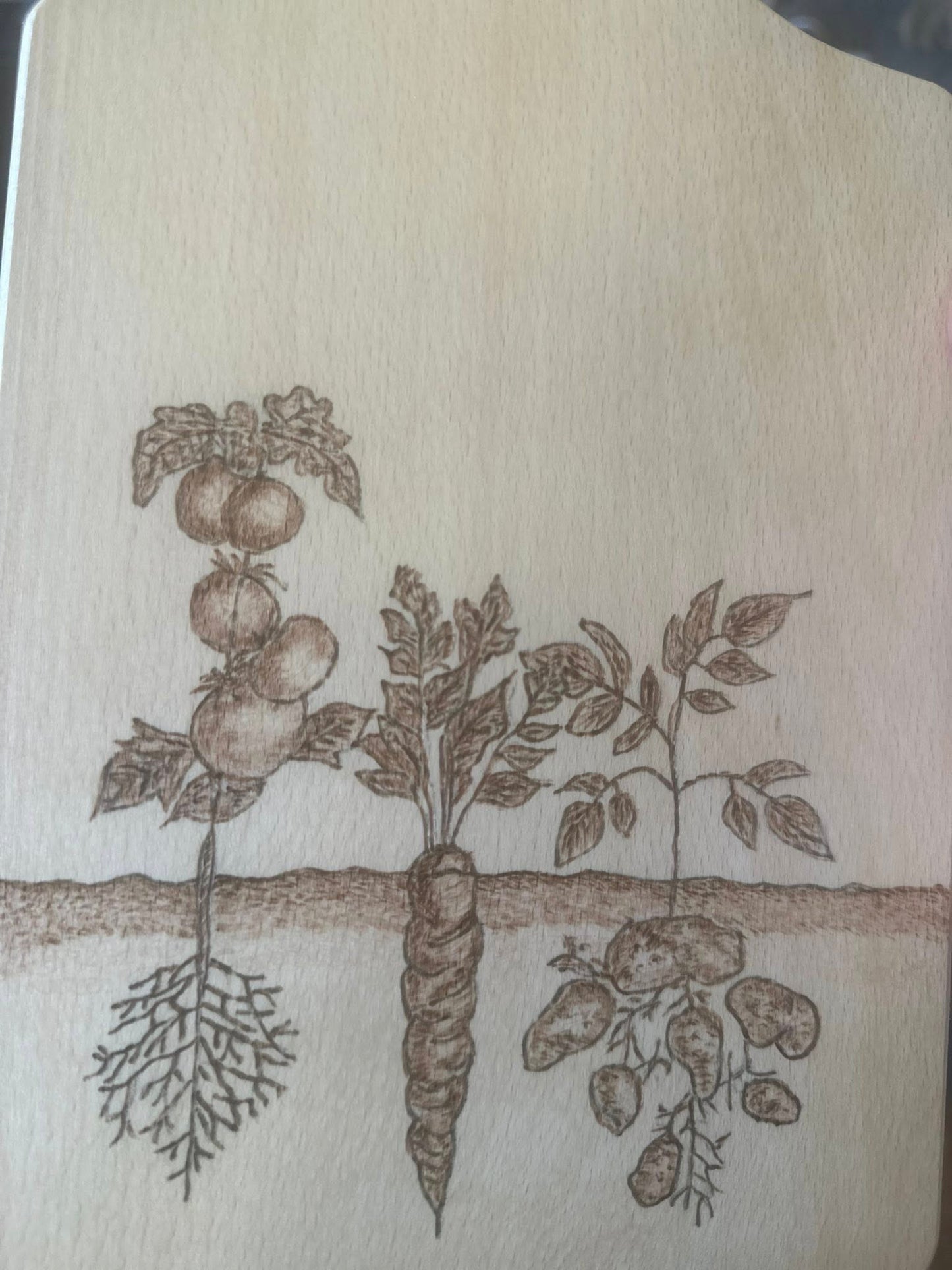 New for 2026 - Saltburn Beginners Pyrography Workshop -23/08/26  - 1pm - 4pm