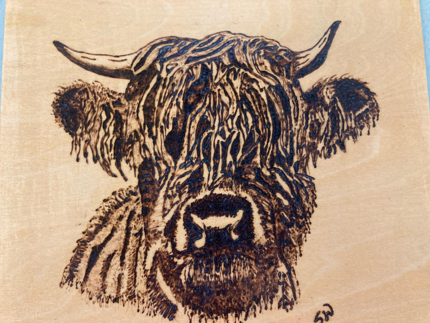 Introduction to Pyrography - Boosbeck Village Hall