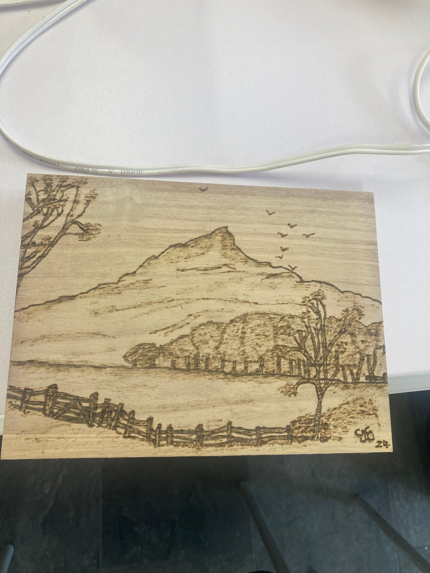 Pyrography Workshop with Side Burner - Location Ingleby Barwick - 2nd Feb 2025