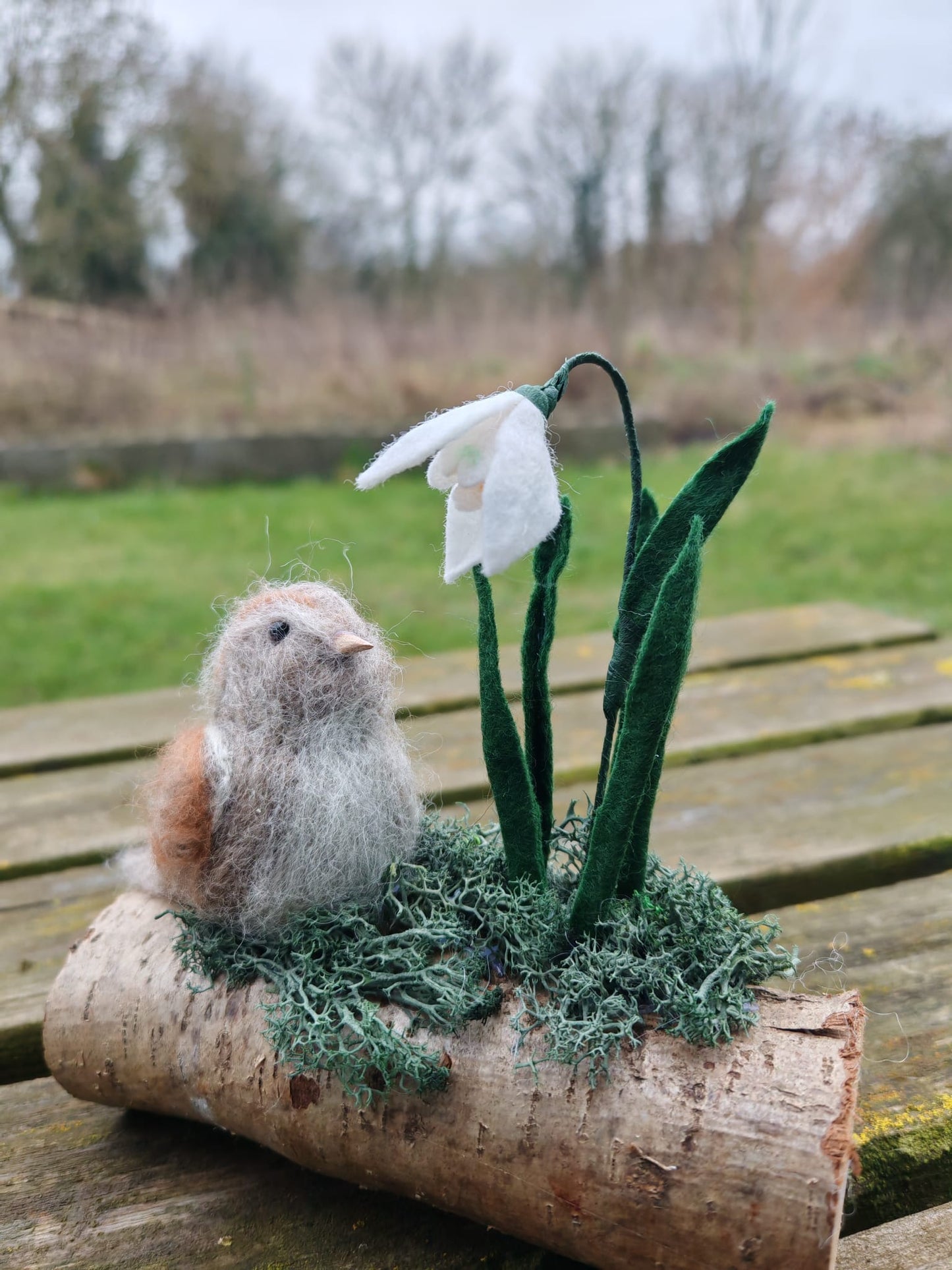 Feathery Felt -  Felting Workshop  - 28/02/26 - Kirklevington - 10am - 1pm