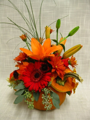 Pumpkin Flower Arrangement 19th Oct 2025 - 1.30pm-3.30pm